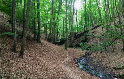 You are currently viewing Bäche in Solingen – mal zu viel – mal zu wenig Wasser (2)
